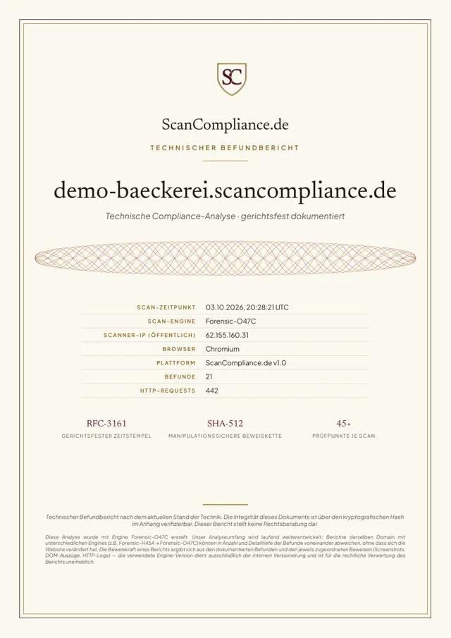 Erste Seite des Musterberichts: Deckblatt mit Domain, Zeitstempel und Befundübersicht